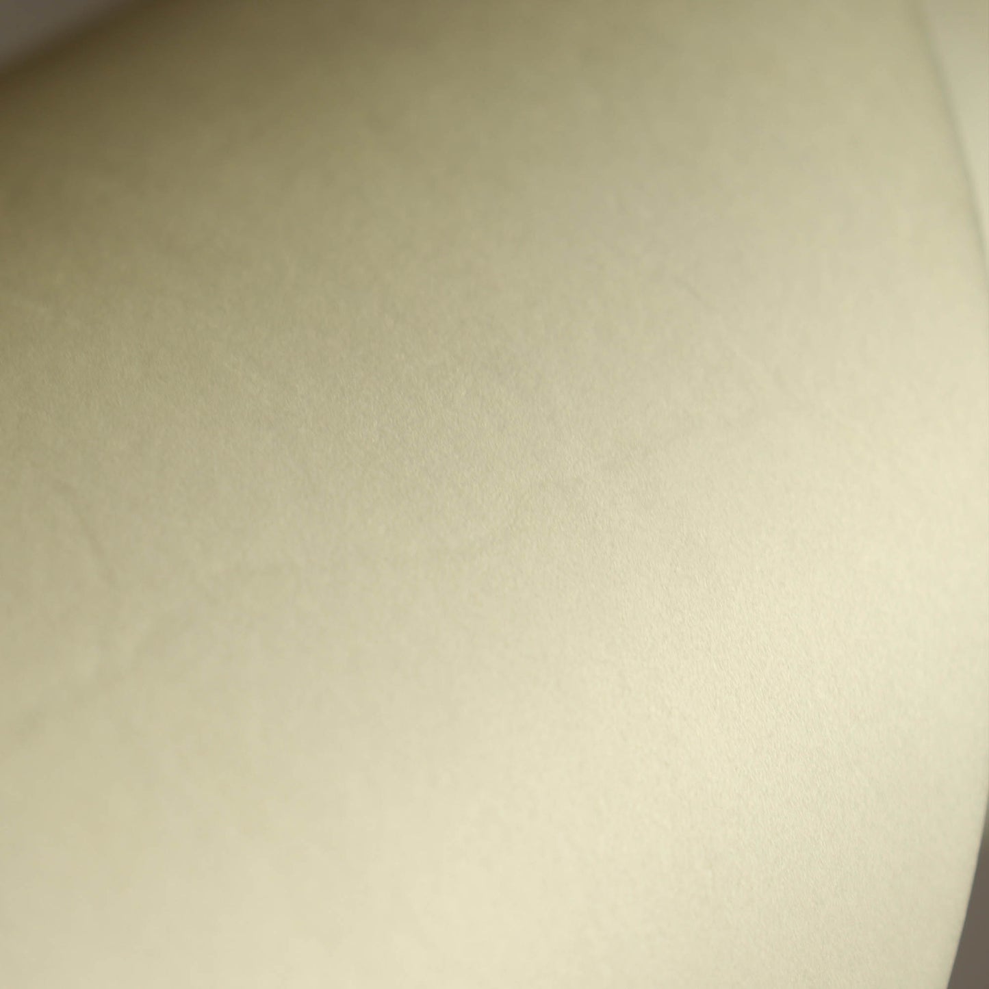 【アウトレット】STERN TANNING BD用カーフスキン 外径39”｜RCBSHU39