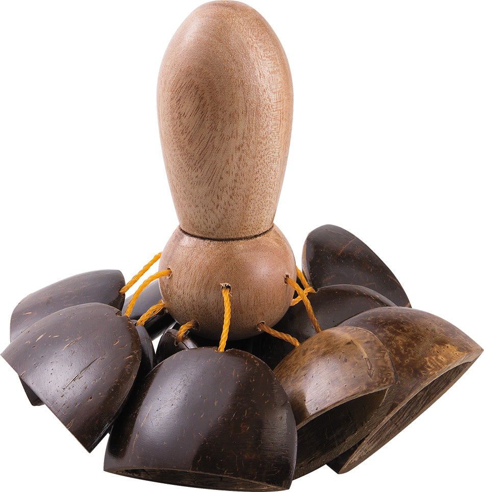 【アウトレット】サウンドキング ココガングルー BG-CGS434